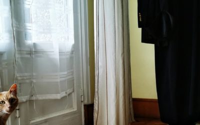 Eh9_IJRXYAEWiUd-400x250