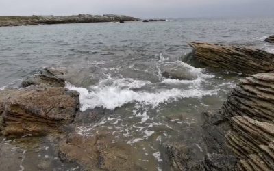 Mn8a7TtpyJCBR475-400x250