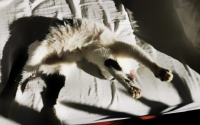 EkcJrkFWkAAitMZ-400x250