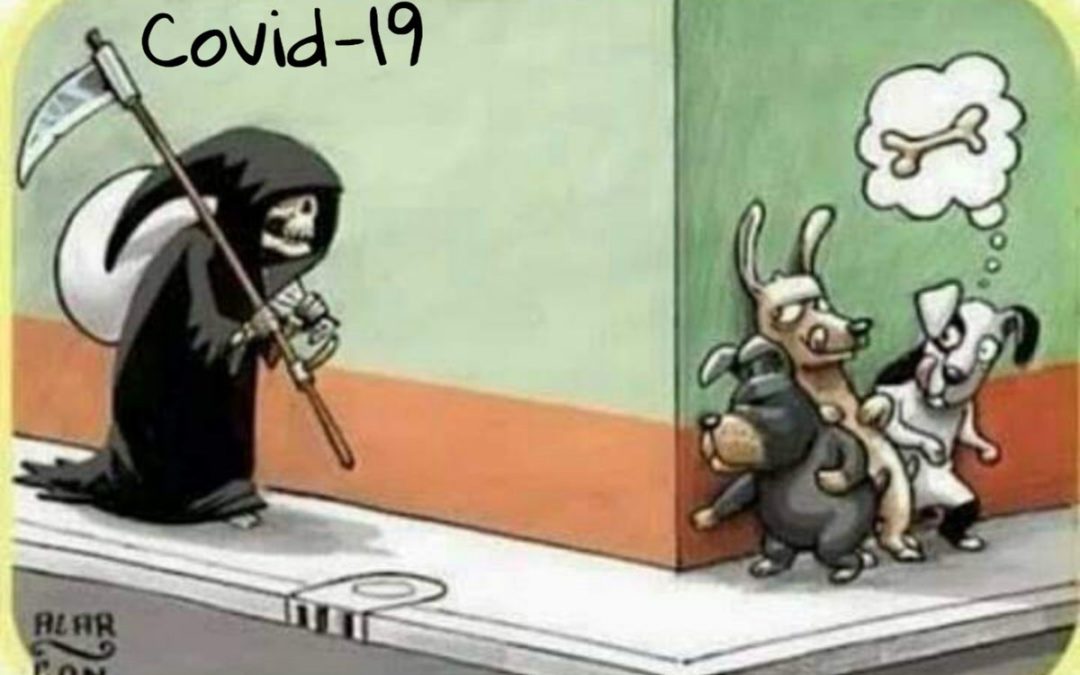 1.11.20 …