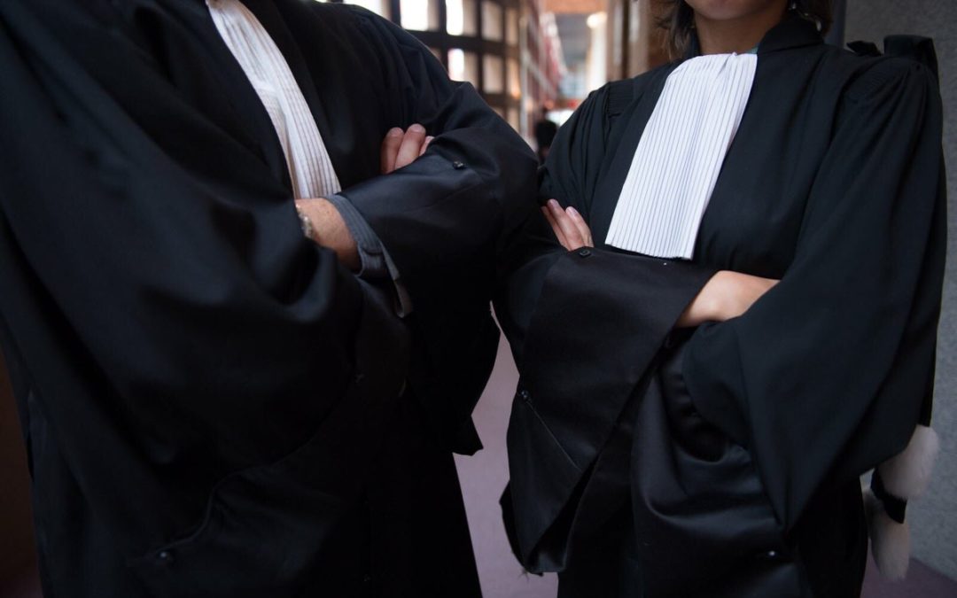 L’#avocat est un marqueur de l…