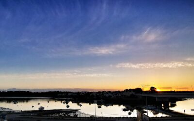 E0mW-BQWQAEw-cn-400x250